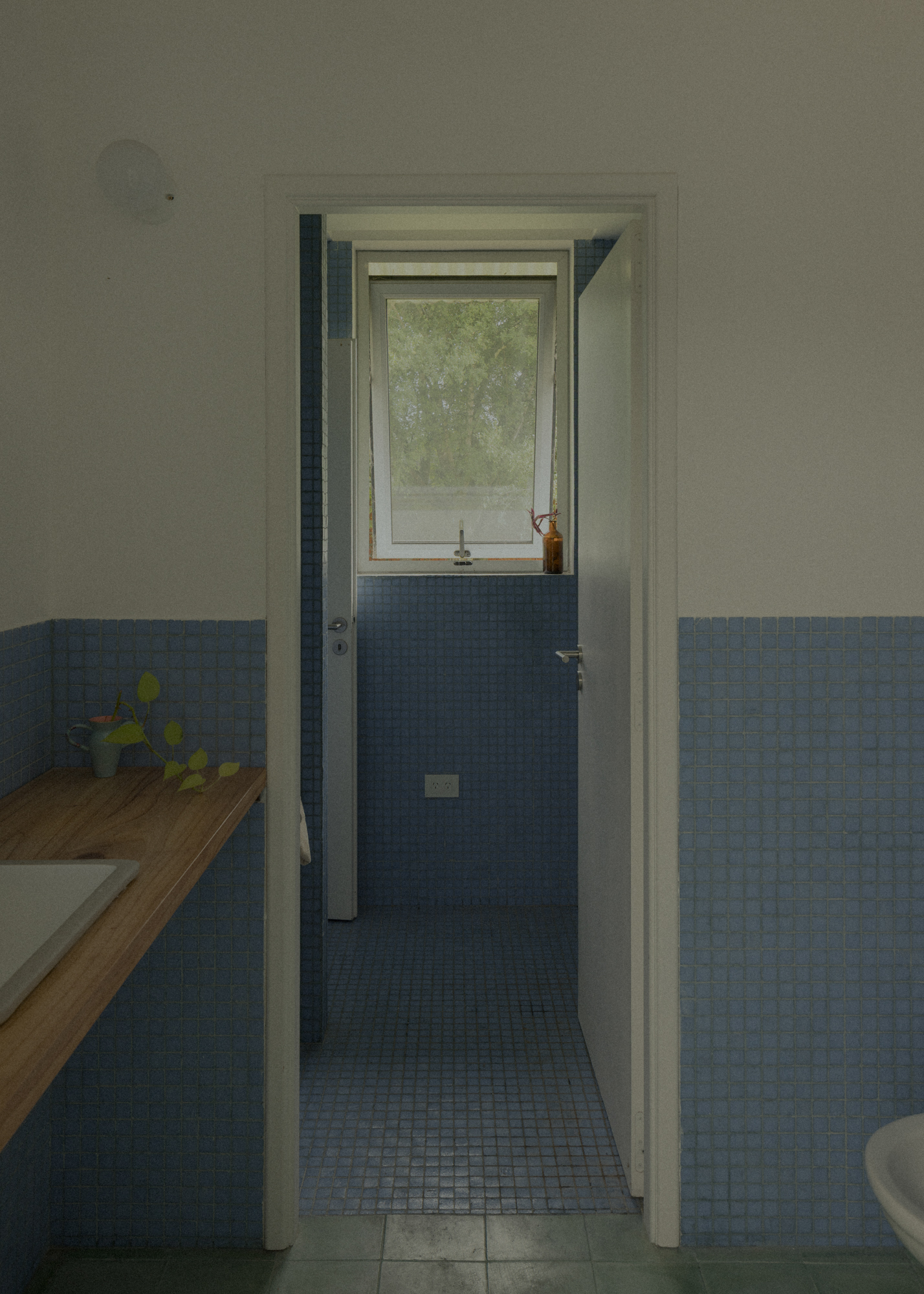 18_Casa las Casuarinas, GAA - © Federico Cairoli (low)