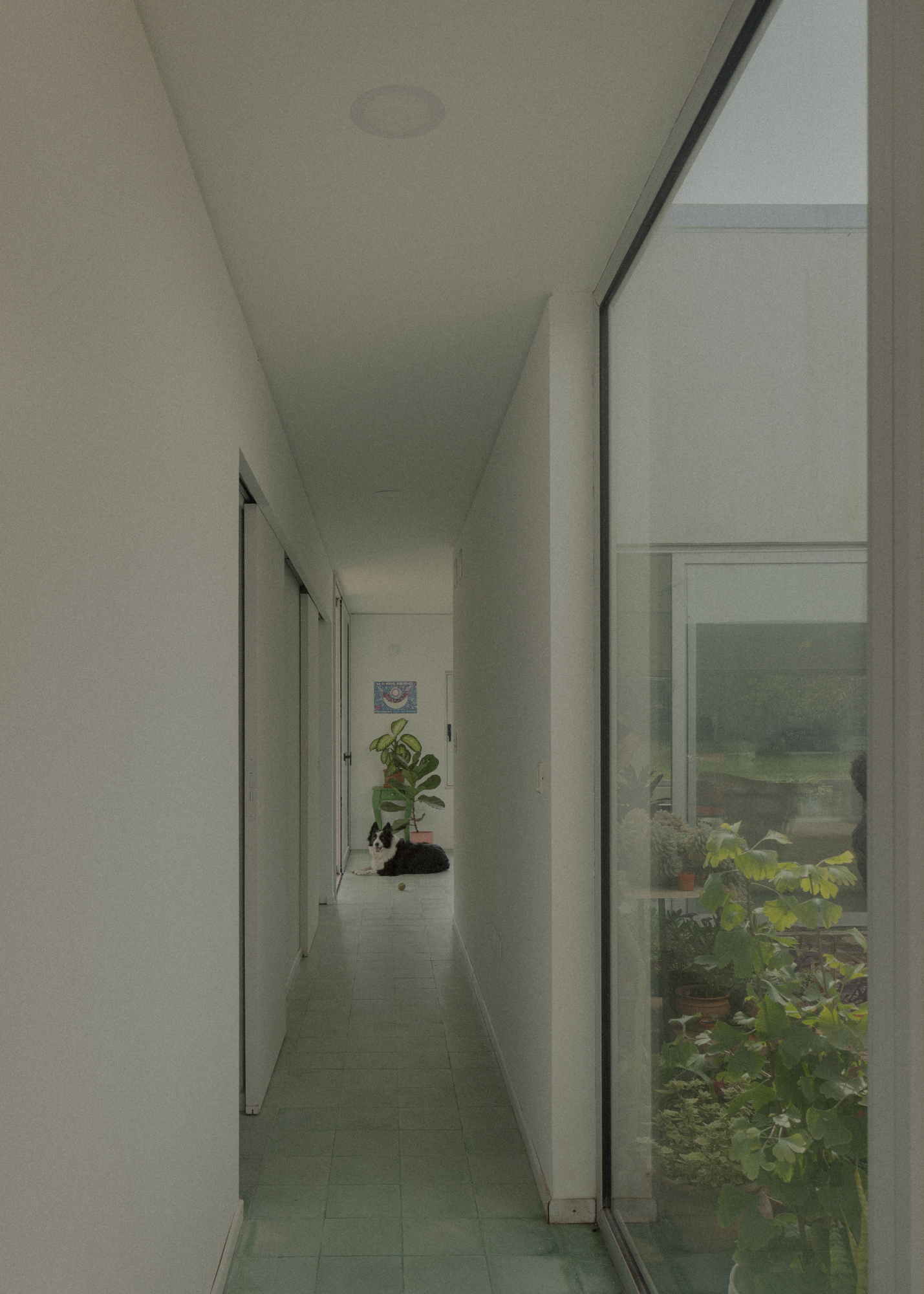 20_Casa las Casuarinas, GAA - © Federico Cairoli (low)